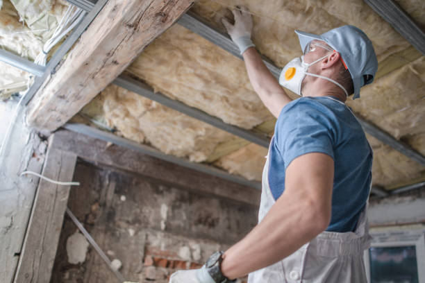 Best Attic Insulation Installation  in Hidden Hills, CA