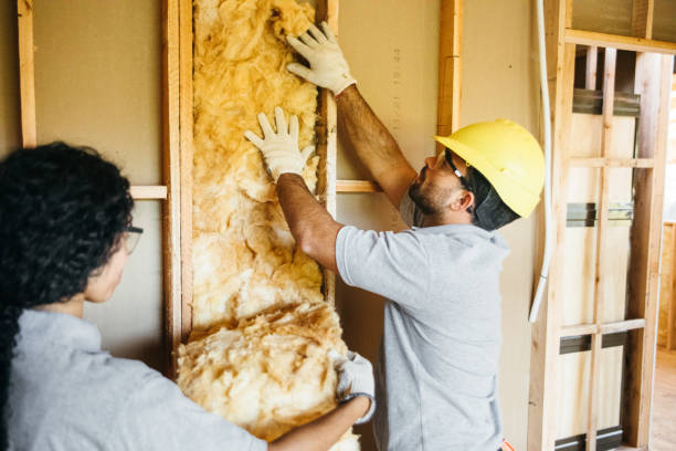 Best Cellulose Insulation  in Hidden Hills, CA