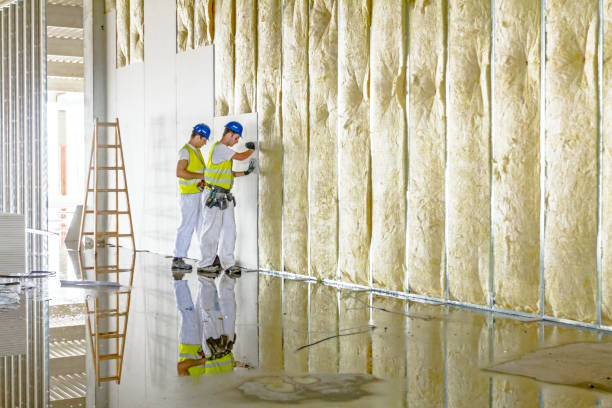 Best Crawl Space Insulation  in Hidden Hills, CA